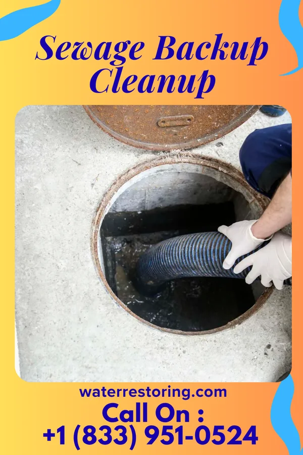 Sewage Backup Cleanup in Wilmington, IL